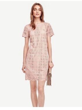 Blush Pink Lace Shift Dress